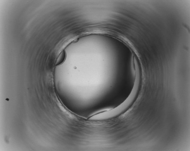 X0000099501433200806051111