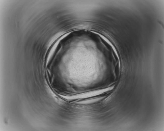 X0000099501434200806051111