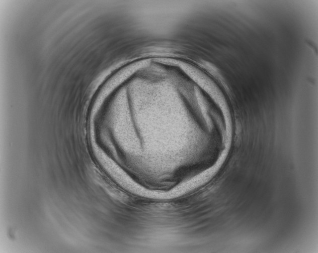 X0000099501435200806051111