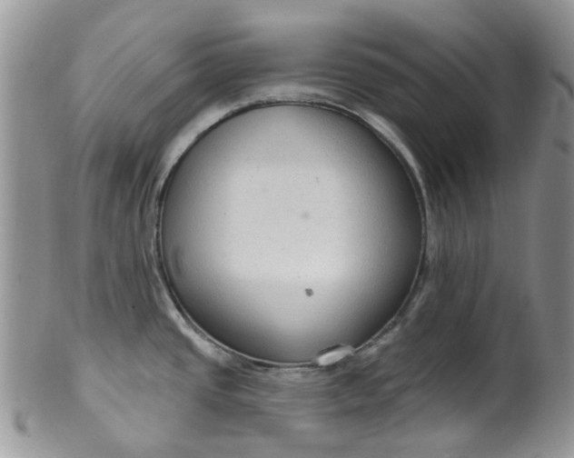 X0000099501437200806051111