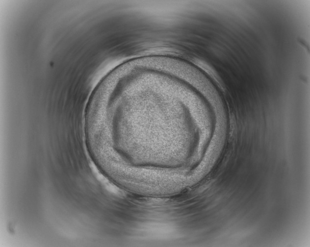 X0000099501439200806051112