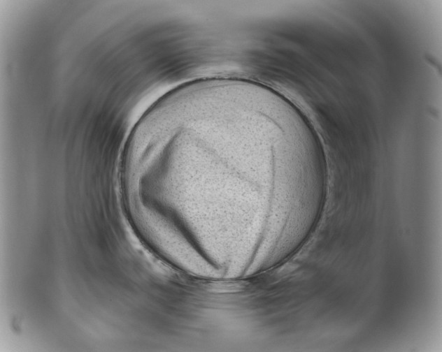 X0000099501440200806051112