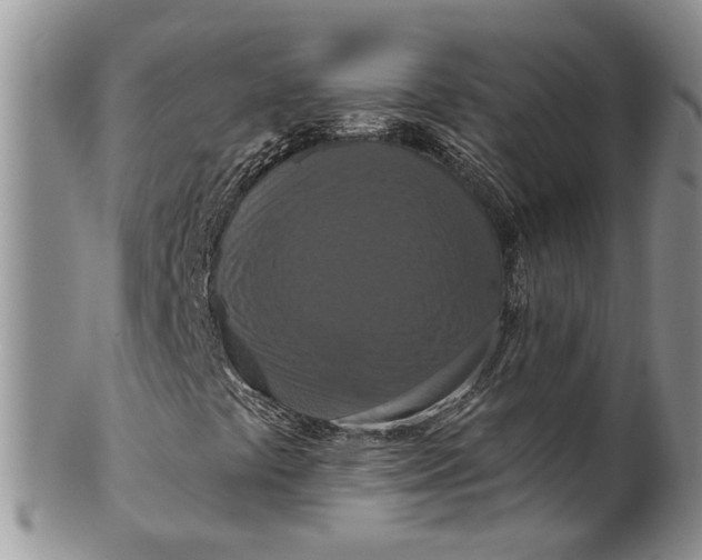 X0000099501441200806051111