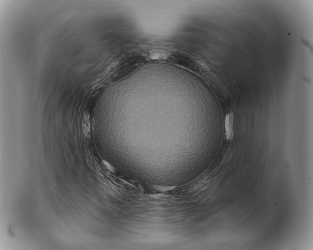 X0000099501443200806051111