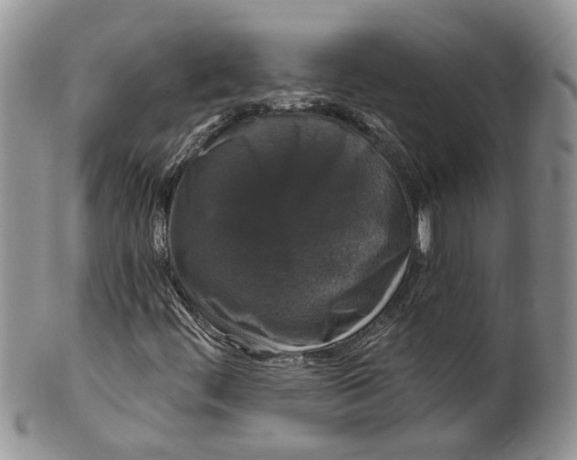 X0000099501444200806051111