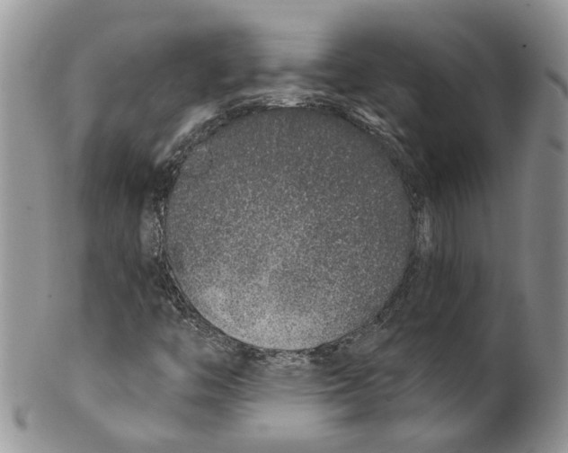 X0000099501446200806051111