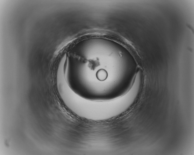 X0000099501448200806051111