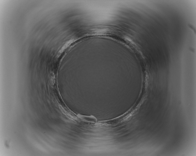 X0000099501449200806051111