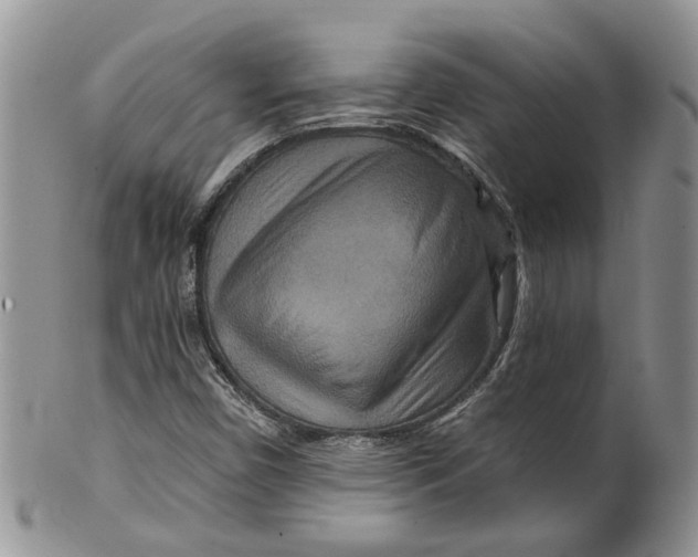 X0000099501450200806051111