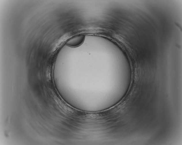 X0000099501451200806051111