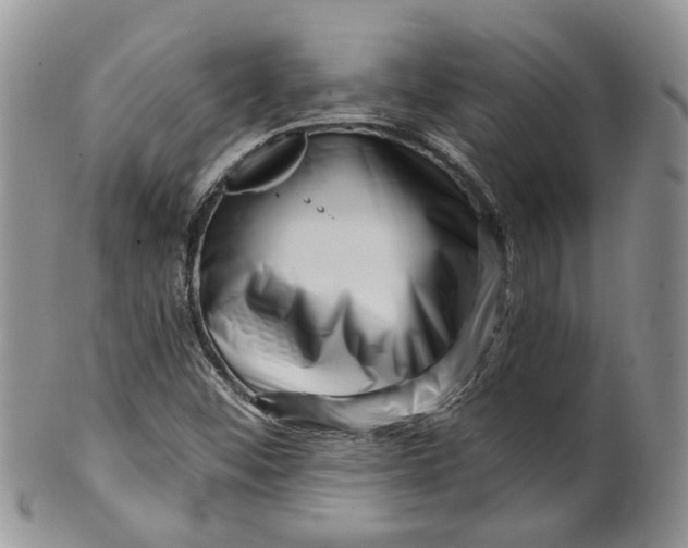 X0000099501452200806051111