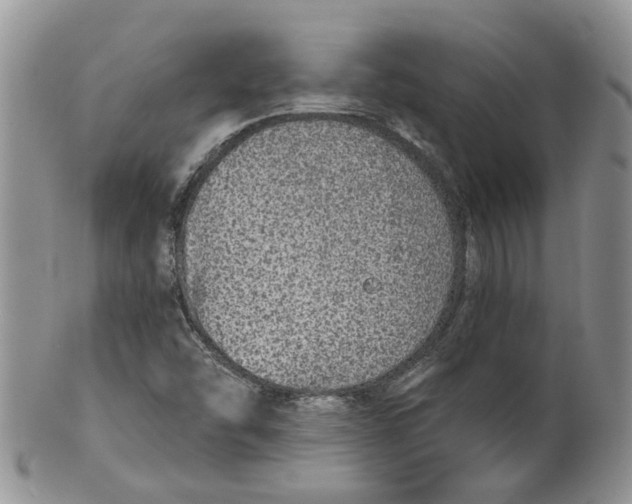 X0000099501454200806051111