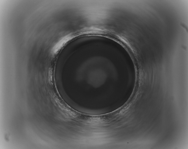 X0000099501455200806051111