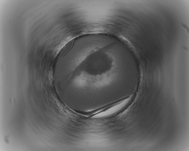 X0000099501457200806051111