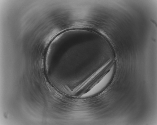 X0000099501459200806051111