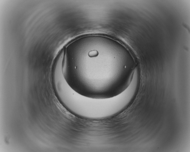 X0000099501460200806051111