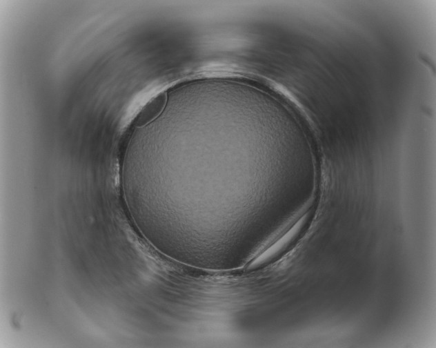 X0000099501461200806051111