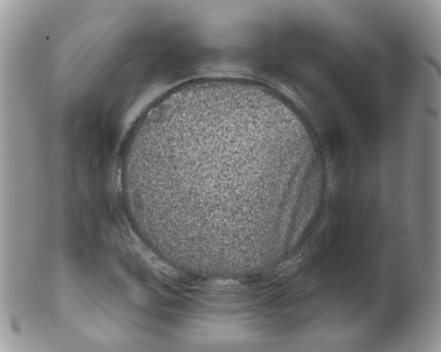 X0000099501462200806051111