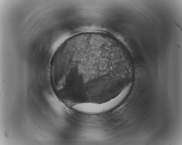 X0000099501463200806051111