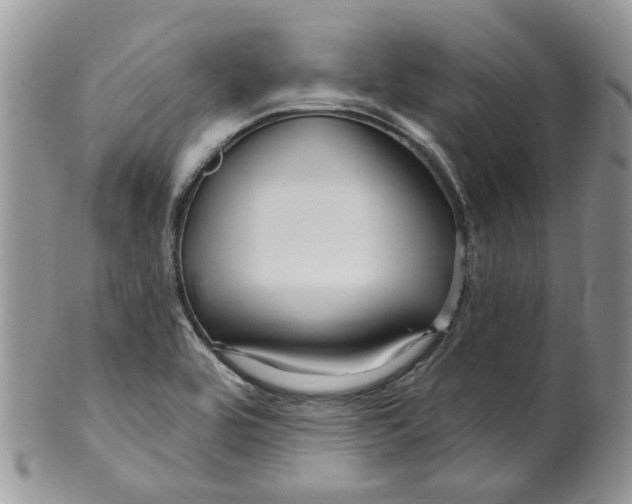 X0000099501464200806051110