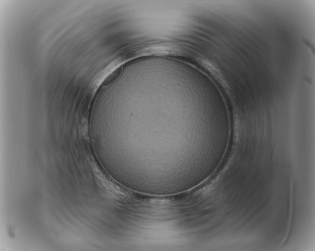 X0000099501465200806051110