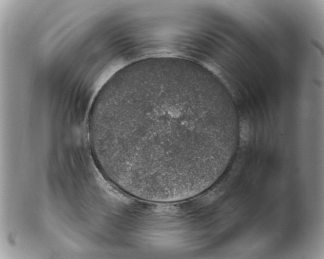 X0000099501466200806051110