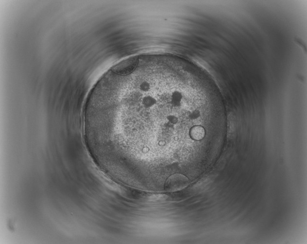 X0000099501467200806051110