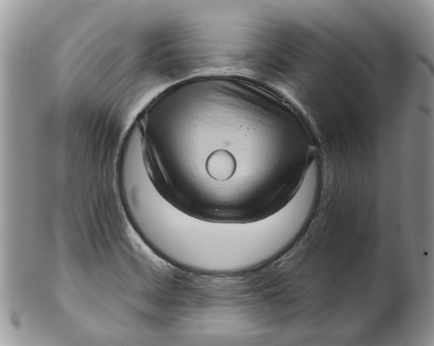 X0000099501468200806051110