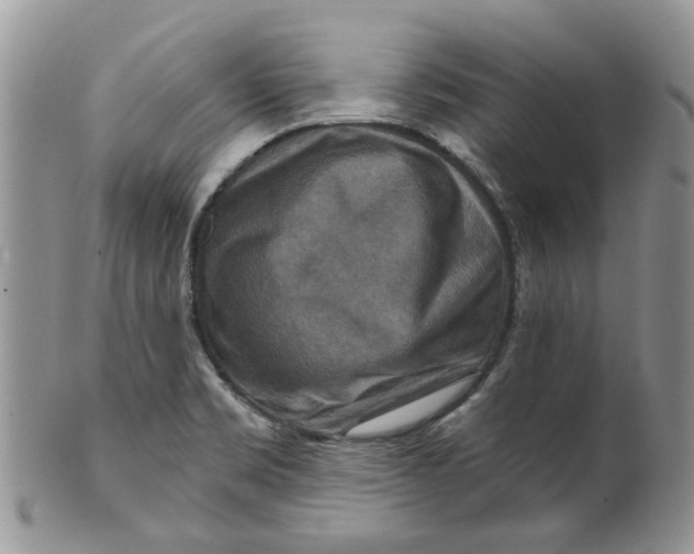 X0000099501469200806051110