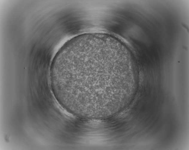 X0000099501470200806051110