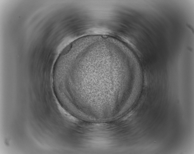 X0000099501471200806051110