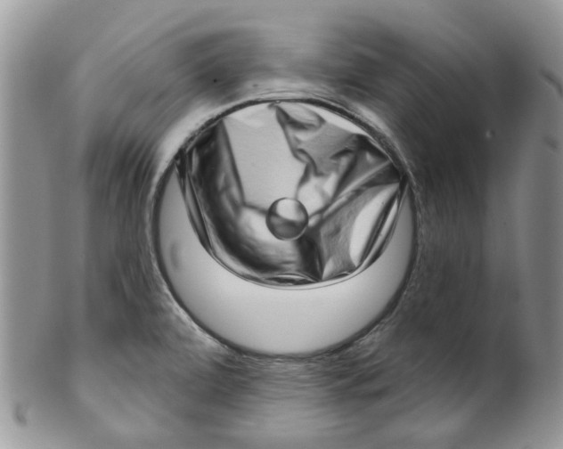 X0000099501472200806051110