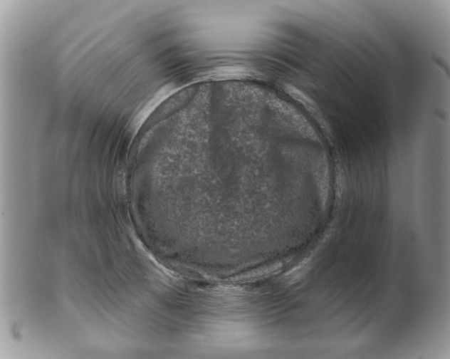 X0000099501473200806051110