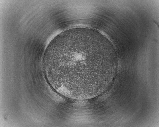 X0000099501474200806051110