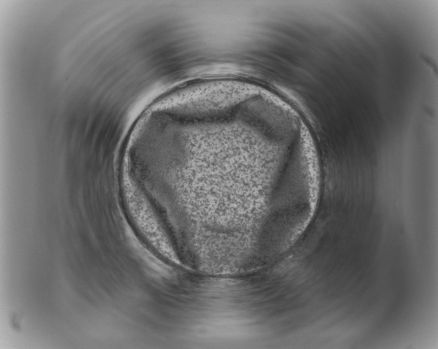 X0000099501475200806051110