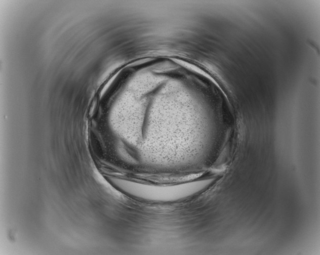 X0000099501476200806051110