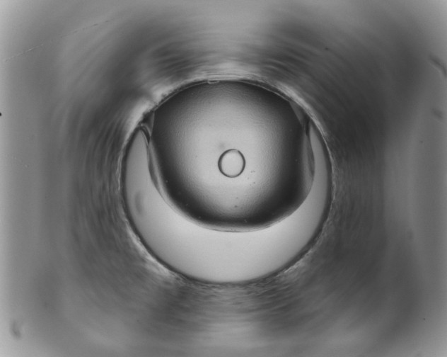 X0000099501477200806051110