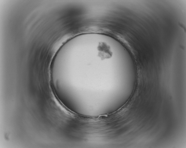 X0000099501479200806051110