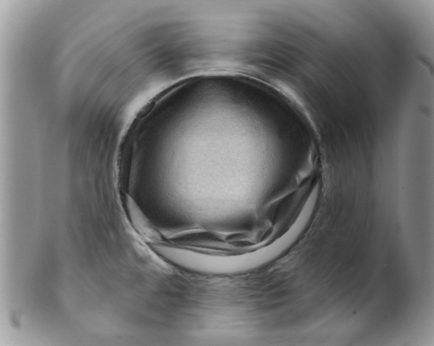 X0000099501480200806051110