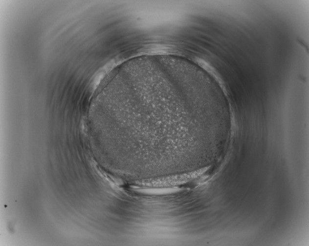 X0000099501481200806051110