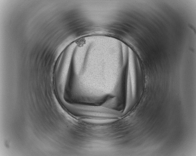 X0000099501483200806051110