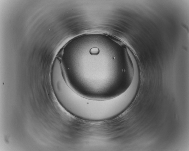 X0000099501484200806051110