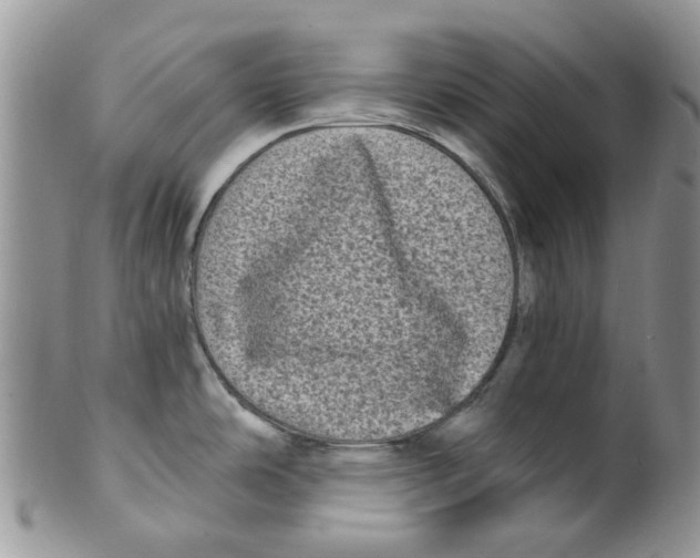 X0000099501486200806051110