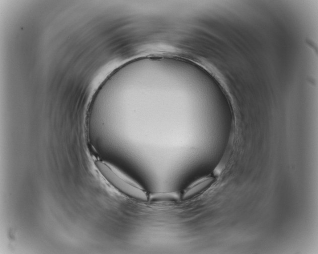 X0000099501488200806051110