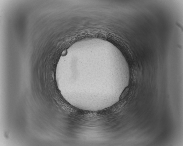 X0000099501489200806051109