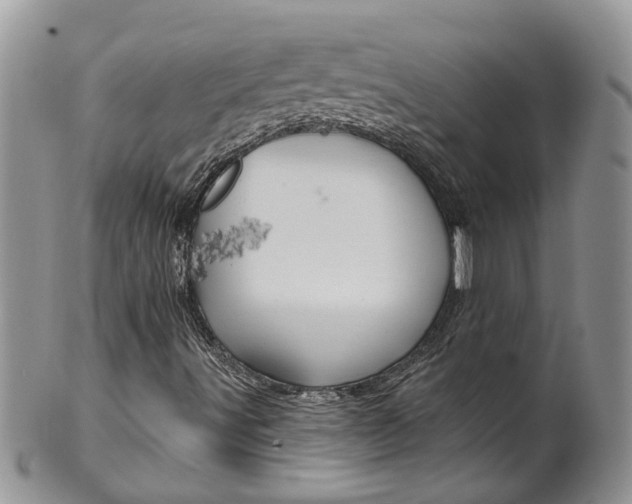 X0000099501491200806051109