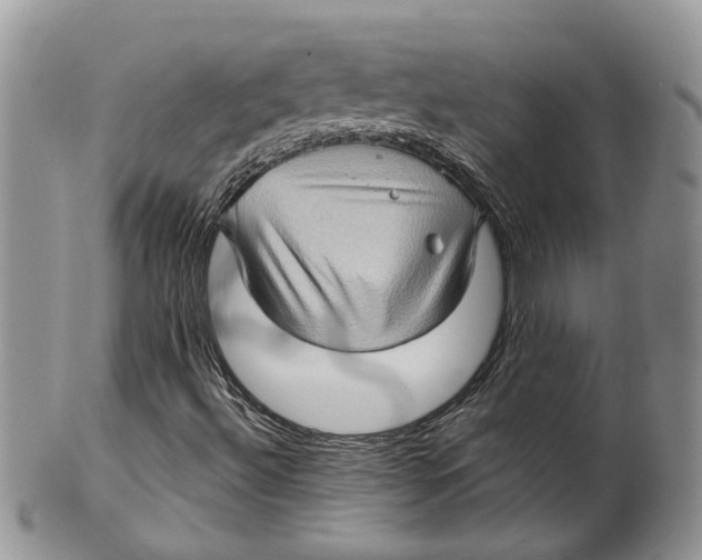 X0000099501492200806051109