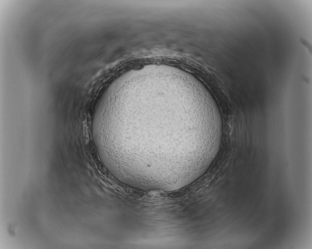 X0000099501493200806051110