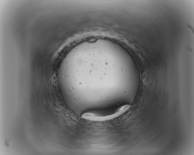 X0000099501495200806051110