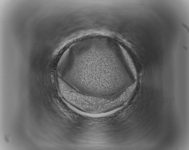 X0000099501496200806051110